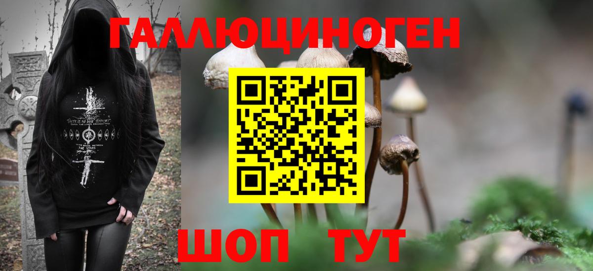 Псилоцибиновые грибы Psilocybe Уварово